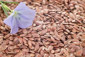 Come raccogliere e conservare i propri semi di fiori