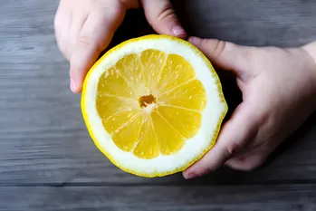 Il reale trovare a portata di mano: come congelare correttamente i limoni