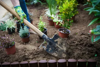 Vanga per il giardino: questi consigli vi aiuteranno a scegliere quella giusta